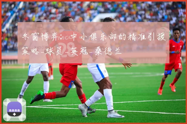 冬窗博弈：中小俱乐部的精准引援策略_球员_英冠_桑德兰