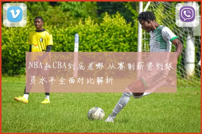 NBA和CBA到底差哪 从赛制薪资到球员水平全面对比解析