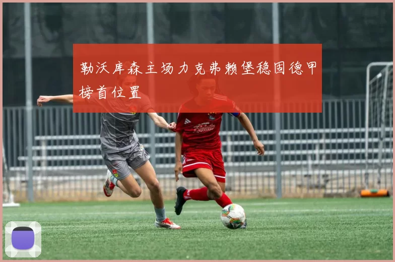 勒沃库森主场力克弗赖堡稳固德甲榜首位置