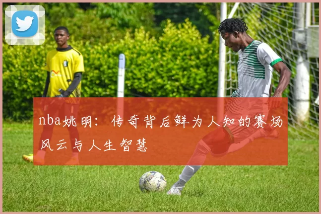 nba姚明：传奇背后鲜为人知的赛场风云与人生智慧